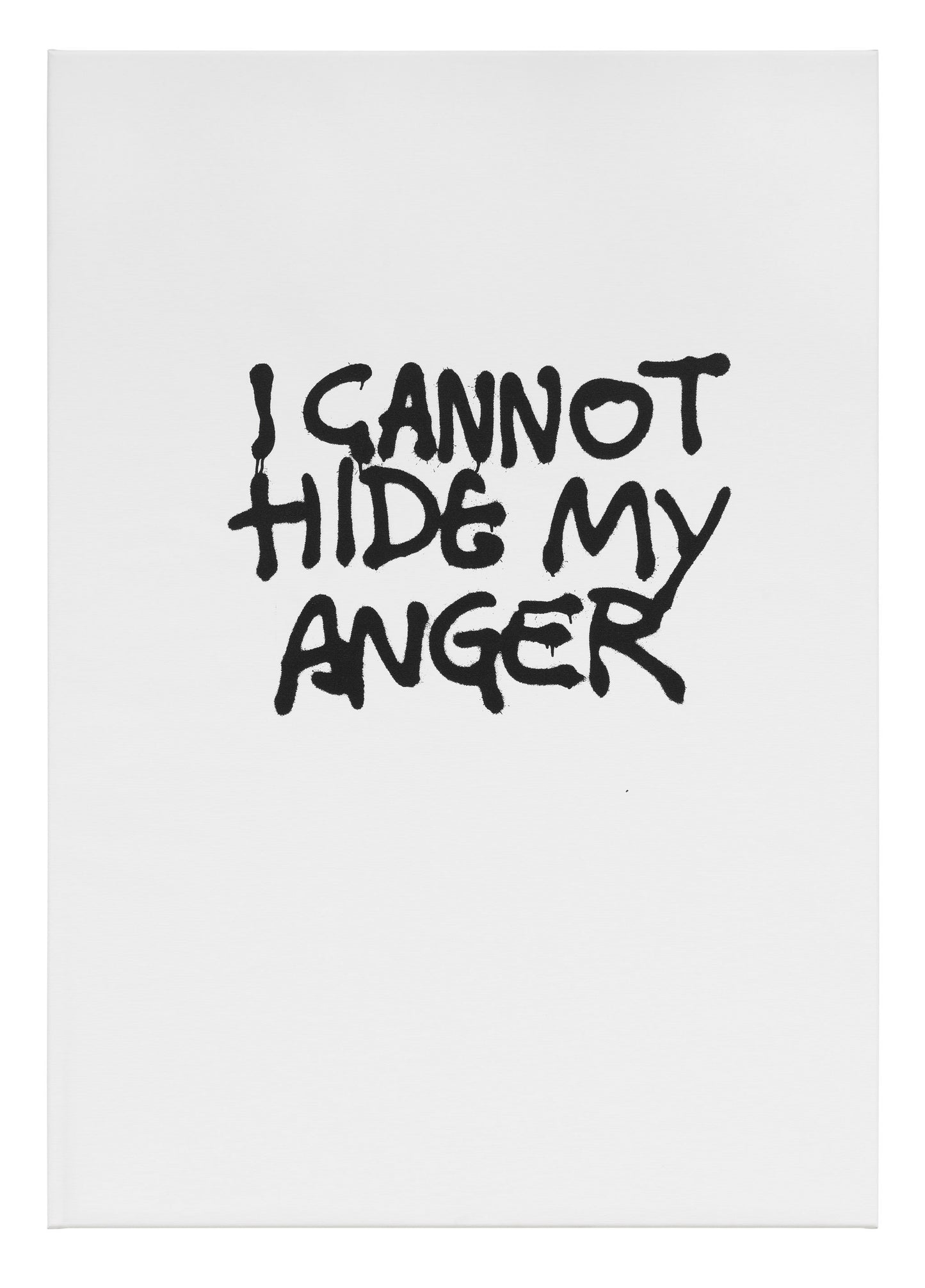 Monica Bonvicini: I Cannot Hide My Anger